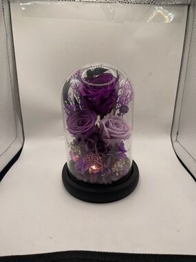 LED Purple Preserved Rose Dome